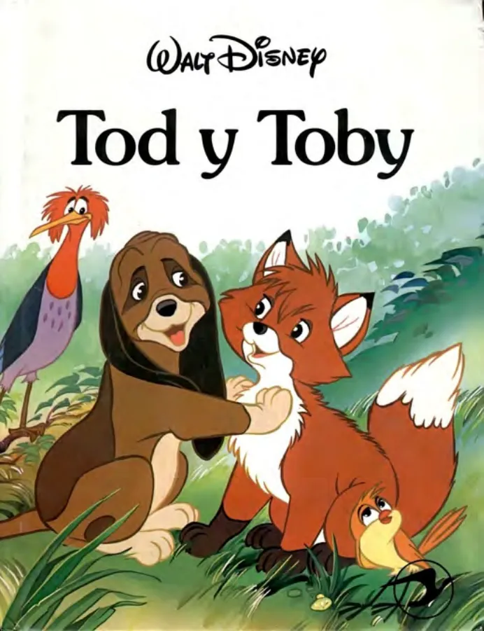 Imagen 10