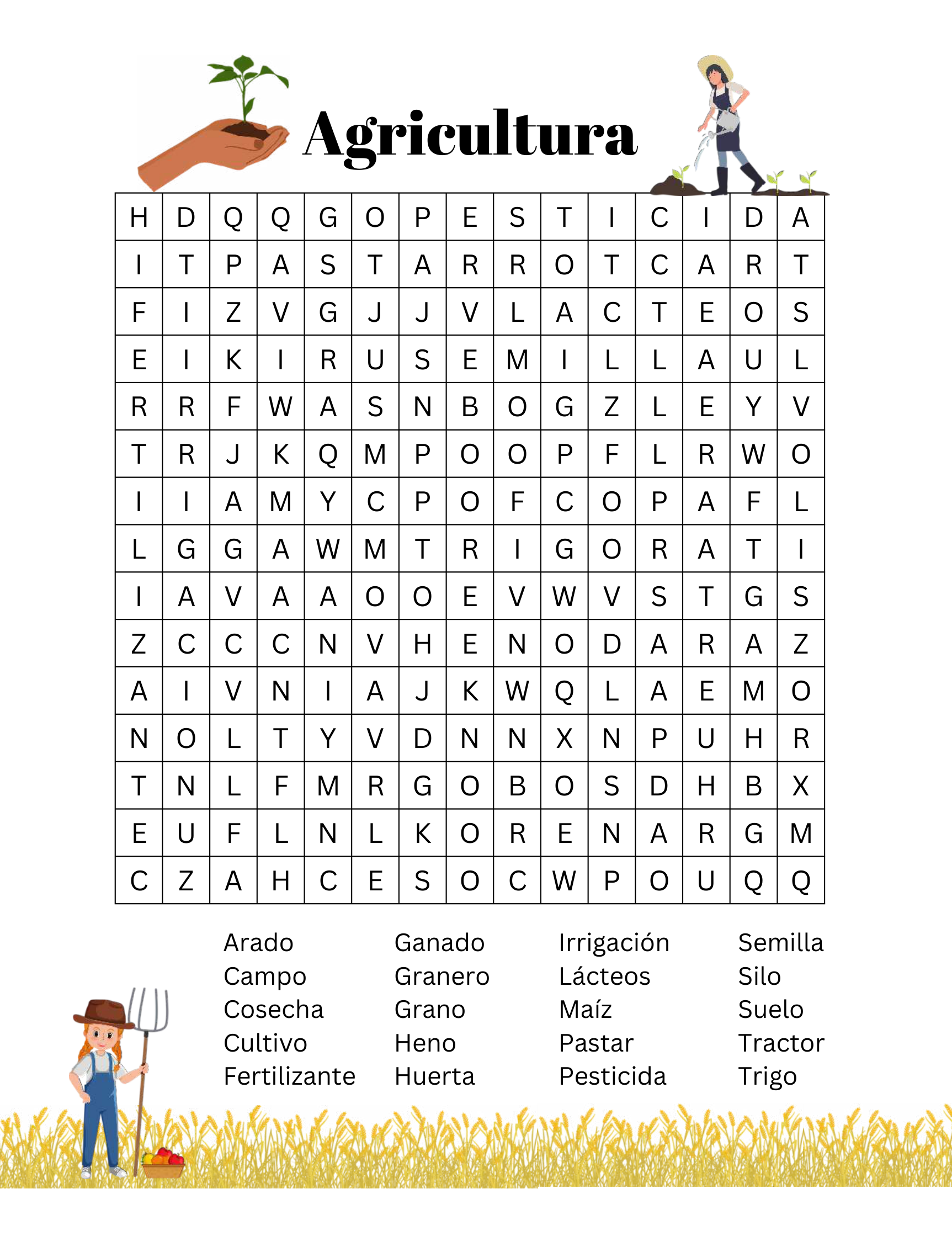Imagen 5