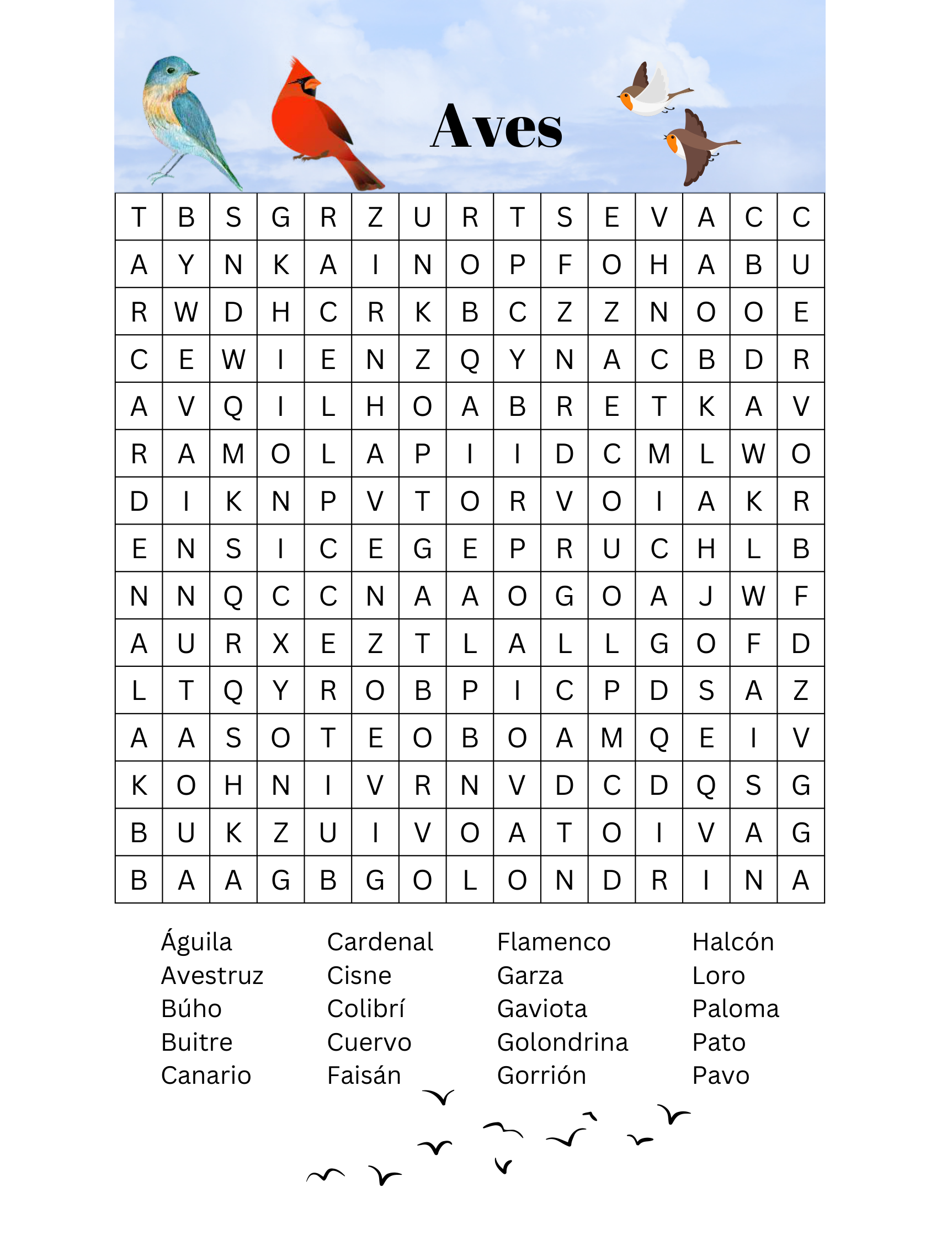 Imagen 8