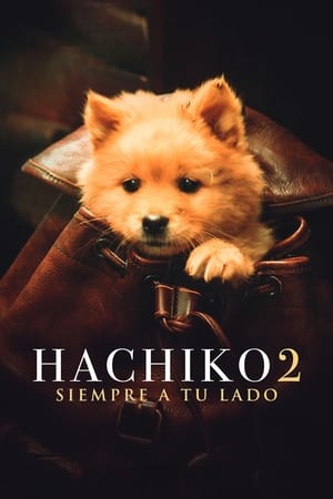 Portada de película